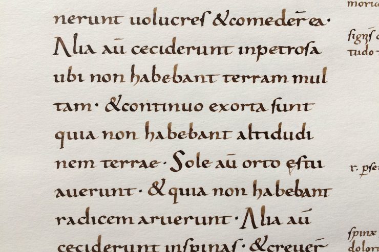 Evangeliar 9Jh Karolingische Minuskel Detail Schrift
